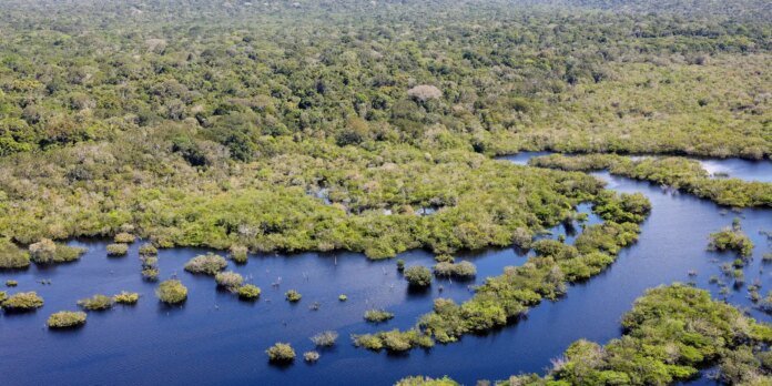 Boleto gigante na Paulista cobra países ricos sobre dívida com o clima