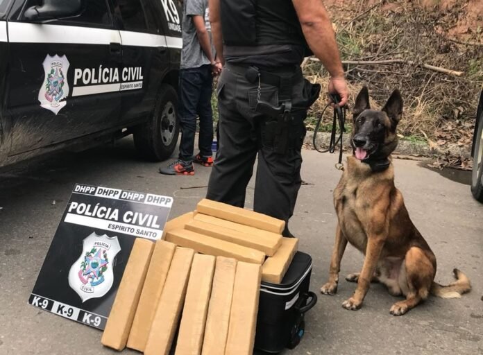 Polícia Civil do ES presta homenagem ao K9 Zack, ícone PCES se despede de Zack, primeiro cão do Departamento de Homicídios e Proteção à Pessoa