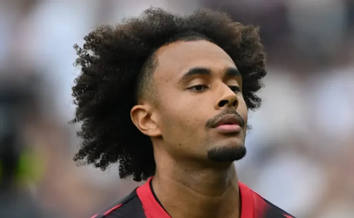 Zirkzee decidido: Manchester United pode negociar atacante com Brighton em Zirkzee quer deixar o Manchester United e Brighton entra na lista de clubes interessados