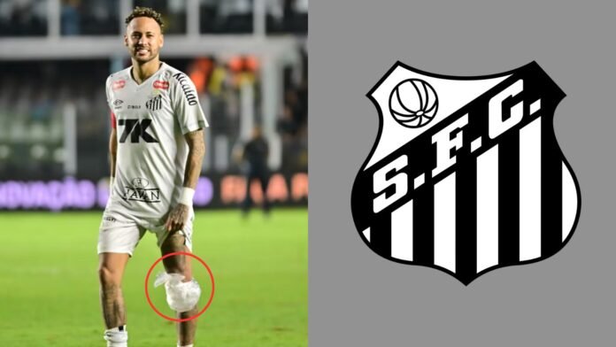 Imagem do avatar de Luis Gustavo Marine