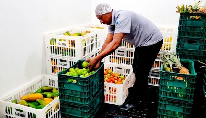 Semdes consolida avanços e fortalece a política de assistência social de Cachoeiro em 2025 - Prefeitura de Cachoeiro de Itapemirim