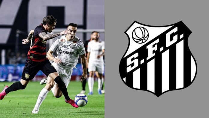 Imagem do avatar de Luis Gustavo Marine