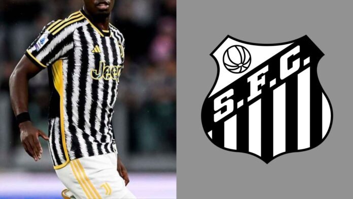 Imagem do avatar de Luis Gustavo Marine