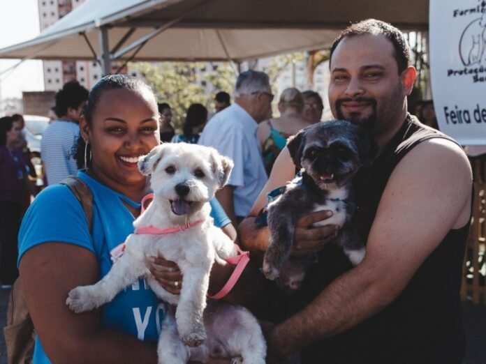 Notícia Anchieta abre Processo Seletivo Simplificado para área de proteção animal - Prefeitura Municipal de Anchieta