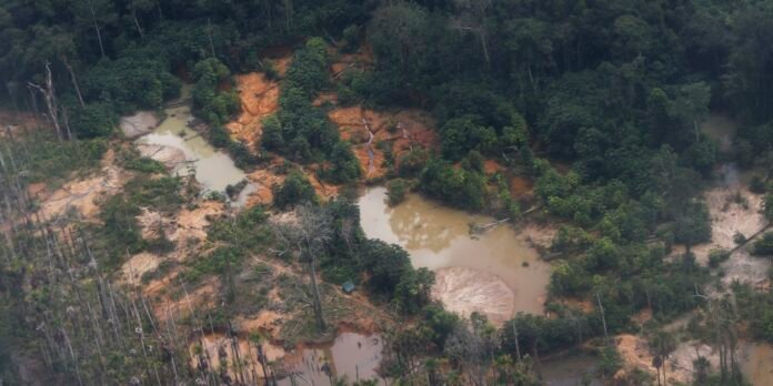 Edital prorroga inscrições para restauração em terras indígenas