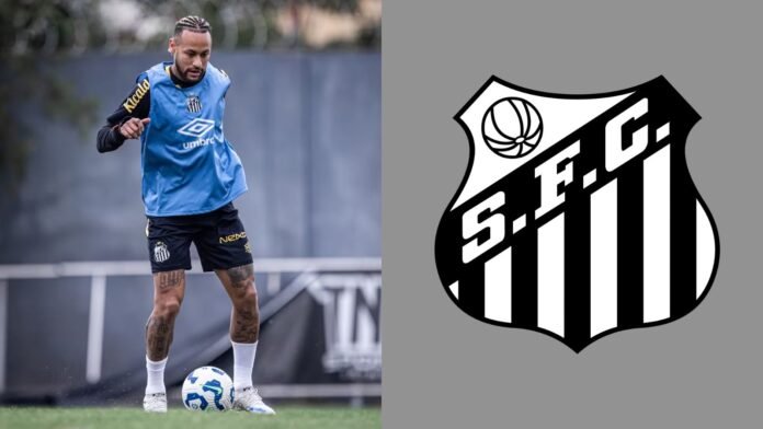 Imagem do avatar de Luis Gustavo Marine