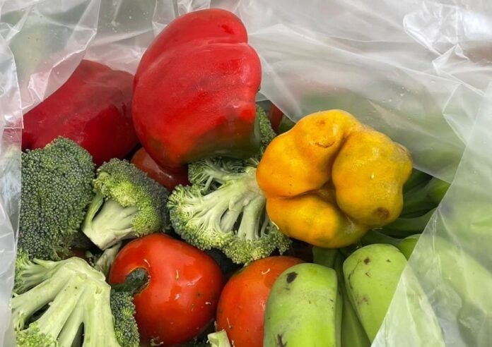 Banco de Alimentos fortalece ações de combate à insegurança alimentar em Cachoeiro - Prefeitura de Cachoeiro de Itapemirim