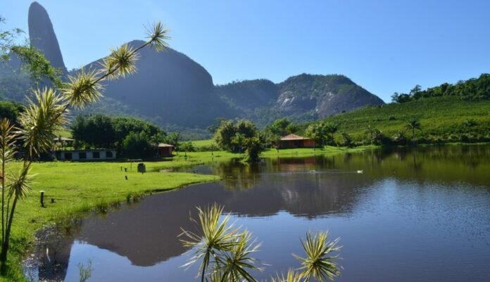Conselho Municipal de Meio Ambiente toma posse nesta terça-feira (10) - Prefeitura de Cachoeiro de Itapemirim