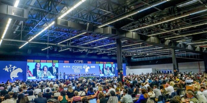 Diversidade marca cerimônia de abertura da COP15 em Campo Grande