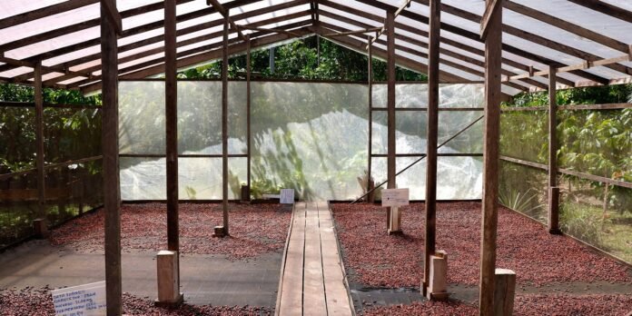 Edital seleciona projetos de inovação no Amazonas, Pará e Rondônia