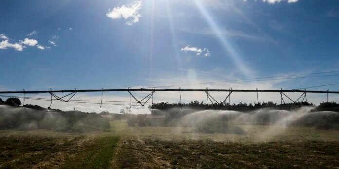 Ameaça sobre espécies dependentes do solo é desconhecida, diz estudo