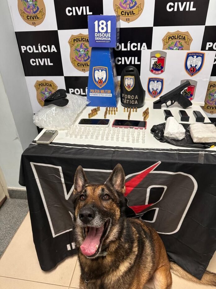 Operação conjunta em Pinheiros resulta em prisão e apreensão de drogas e arma de fogo