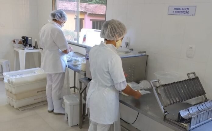 Cachoeiro promove curso obrigatório para agroindústrias - Prefeitura de Cachoeiro de Itapemirim