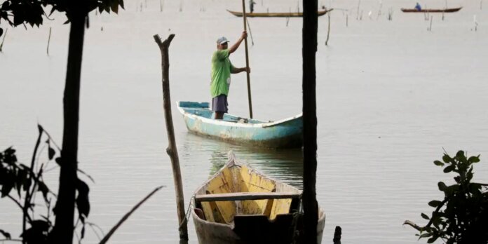Conferências estaduais de aquicultura e pesca serão em junho e julho| Agência Brasil