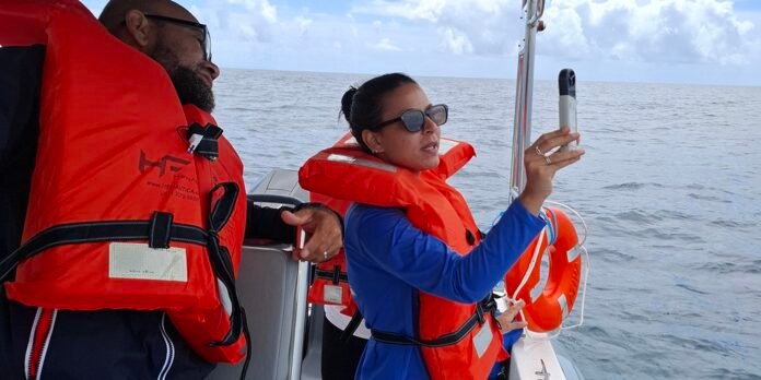 Projeto mapeia fauna marinha da Bahia por meio do DNA ambiental