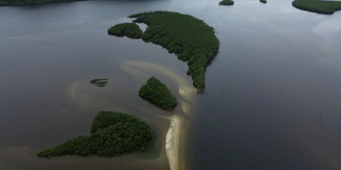 Carbono azul ganha espaço na agenda climática dos oceanos