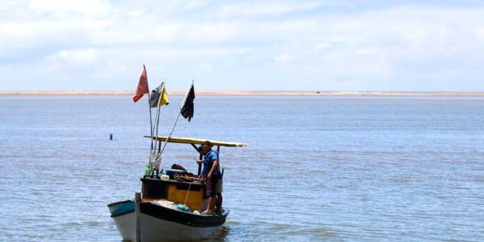 Pescadores artesanais começam a receber seguro-defeso retroativo