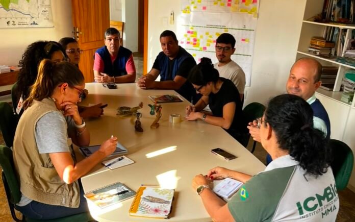 Vigilância Ambiental alinha fluxo de notificações para evitar febre amarela e febre maculosa - Prefeitura de Cachoeiro de Itapemirim