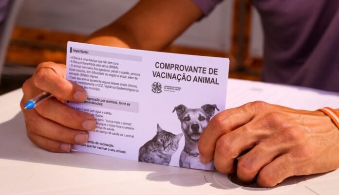 Cachoeiro realiza Campanha de Vacinação Antirrábica nos distritos neste sábado (29) - Prefeitura de Cachoeiro de Itapemirim