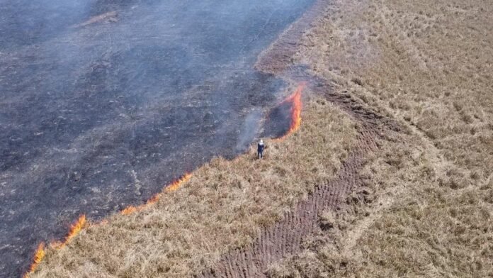 Defesa Civil de Marataízes combate foco de incêndio em área de preservação permanente