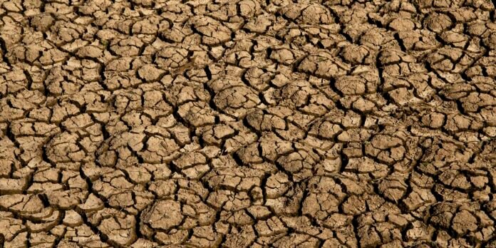Risco de desertificação no Brasil ameaça segurança hídrica e alimentar