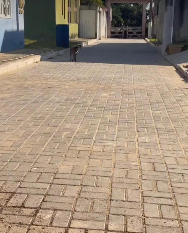 Notícia Pavimentação de ruas avança em Mãe-Bá - Prefeitura Municipal de Anchieta