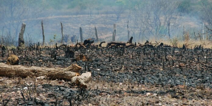Sociedade civil rejeita agenda excludente aprovada no início da COP17
