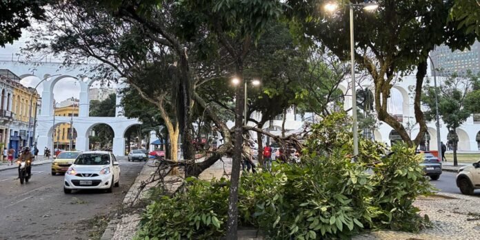 Ventania: moradores do Rio acordam sob alerta; saiba o que fazer