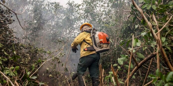 Amazonas tem 540 focos de incêndio nas últimas 48 horas