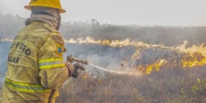 Governo investiga se há organização por trás dos incêndios no Amazonas
